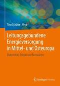 Schütte / Dvorský / Borozdina |  Leitungsgebundene Energieversorgung in Mittel- und Osteuropa | Buch |  Sack Fachmedien