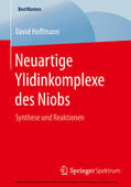 Hoffmann |  Neuartige Ylidinkomplexe des Niobs | eBook | Sack Fachmedien