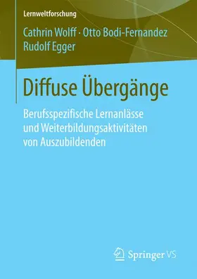 Wolff / Bodi-Fernandez / Egger |  Diffuse Übergänge | Buch |  Sack Fachmedien