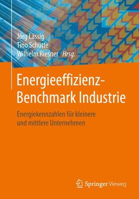 Lässig / Riesner / Schütte | Energieeffizienz-Benchmark Industrie | Buch | 978-3-658-13993-3 | sack.de