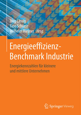 Lässig / Schütte / Riesner | Energieeffizienz-Benchmark Industrie | E-Book | sack.de