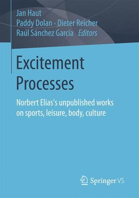 Haut / Sánchez García / Dolan | Excitement Processes | Buch | 978-3-658-14911-6 | sack.de