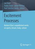Haut / Sánchez García / Dolan |  Excitement Processes | Buch |  Sack Fachmedien