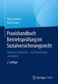 Fischer / Schewe |  Praxishandbuch Betriebsprüfung im Sozialversicherungsrecht | Buch |  Sack Fachmedien