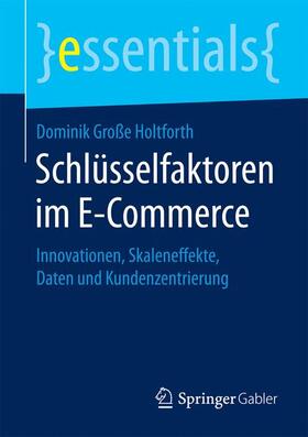 Große Holtforth | Schlüsselfaktoren im E-Commerce | Buch | 978-3-658-16433-1 | sack.de