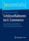 Große Holtforth |  Schlüsselfaktoren im E-Commerce | Buch |  Sack Fachmedien