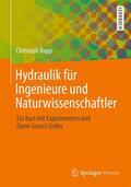 Rapp |  Hydraulik für Ingenieure und Naturwissenschaftler | Buch |  Sack Fachmedien
