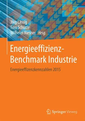 Lässig / Riesner / Schütte |  Energieeffizienz-Benchmark Industrie | Buch |  Sack Fachmedien