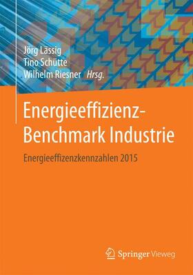 Lässig / Riesner / Schütte | Energieeffizienz-Benchmark Industrie | Buch | 978-3-658-19173-3 | sack.de