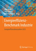 Lässig / Schütte / Riesner |  Energieeffizienz-Benchmark Industrie | eBook | Sack Fachmedien