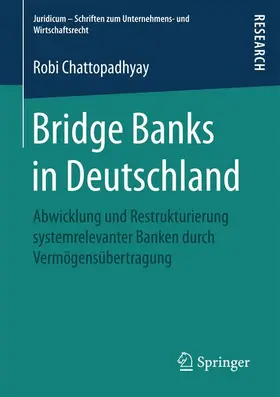 Chattopadhyay |  Bridge Banks in Deutschland | Buch |  Sack Fachmedien