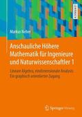 Neher |  Anschauliche Höhere Mathematik für Ingenieure und Naturwissenschaftler 1 | Buch |  Sack Fachmedien