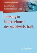Clausen / Schubert |  Treasury in Unternehmen der Sozialwirtschaft | Buch |  Sack Fachmedien