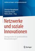 Neugebauer / Pawel / Biritz |  Netzwerke und soziale Innovationen | Buch |  Sack Fachmedien