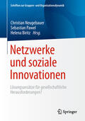 Neugebauer / Pawel / Biritz |  Netzwerke und soziale Innovationen | eBook | Sack Fachmedien