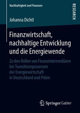 Dichtl | Finanzwirtschaft, nachhaltige Entwicklung und die Energiewende | Buch | sack.de