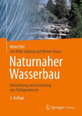 Patt | Naturnaher Wasserbau | Buch | 978-3-658-22477-6 | sack.de