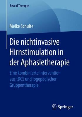 Schulte | Schulte, M: Die nichtinvasive Hirnstimulation | Buch | 978-3-658-22570-4 | sack.de