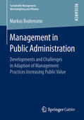 Bodemann |  Management in Public Administration | eBook | Sack Fachmedien
