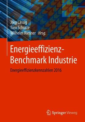 Lässig / Riesner / Schütte | Energieeffizienz-Benchmark Industrie | Buch | 978-3-658-22955-9 | sack.de