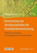 Raganowicz |  Raganowicz, A: Renovierung von Anschlusskanälen der Grundstü | Buch |  Sack Fachmedien