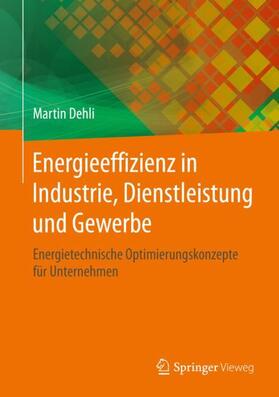 Dehli | Energieeffizienz in Industrie, Dienstleistung und Gewerbe | Buch | 978-3-658-23203-0 | sack.de