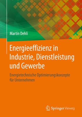 Dehli | Energieeffizienz in Industrie, Dienstleistung und Gewerbe | E-Book | sack.de