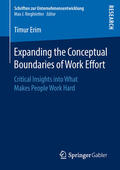 Erim |  Expanding the Conceptual Boundaries of Work Effort | eBook | Sack Fachmedien