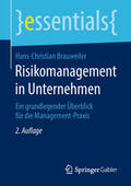 Brauweiler |  Risikomanagement in Unternehmen | eBook | Sack Fachmedien