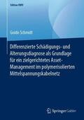 Schmidt |  Differenzierte Schädigungs- und Alterungsdiagnose als Grundlage für ein zielgerichtetes Asset-Management im polymerisolierten Mittelspannungskabelnetz | Buch |  Sack Fachmedien