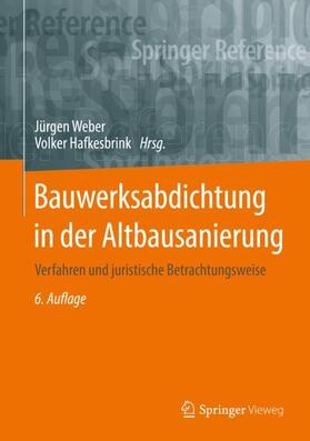 Weber / Hafkesbrink | Bauwerksabdichtung in der Altbausanierung | Buch | 978-3-658-24897-0 | sack.de
