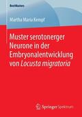 Kempf |  Muster serotonerger Neurone in der Embryonalentwicklung von Locusta migratoria | Buch |  Sack Fachmedien