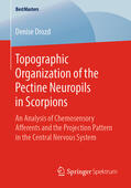 Drozd |  Topographic Organization of the Pectine Neuropils in Scorpions | eBook | Sack Fachmedien