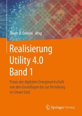 Doleski | Realisierung Utility 4.0 Band 1 | Buch | 978-3-658-25331-8 | sack.de