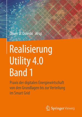 Doleski | Realisierung Utility 4.0 Band 1 | E-Book | sack.de