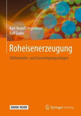 Hegemann / Guder | Roheisenerzeugung | Buch | 978-3-658-25405-6 | sack.de