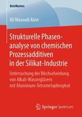 Masoudi Alavi |  Strukturelle Phasenanalyse von chemischen Prozessadditiven in der Silikat-Industrie | Buch |  Sack Fachmedien