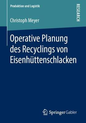 Meyer |  Operative Planung des Recyclings von Eisenhüttenschlacken | Buch |  Sack Fachmedien