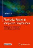 Feld |  Feld, S: Alternative Routen in komplexen Umgebungen | Buch |  Sack Fachmedien