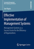 Kopia |  Effective Implementation of Management Systems | eBook | Sack Fachmedien