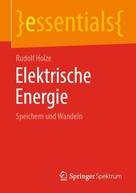 Holze | Elektrische Energie | Buch | sack.de