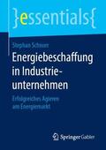 Schnorr |  Energiebeschaffung in Industrieunternehmen | Buch |  Sack Fachmedien