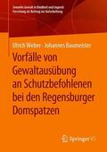 Baumeister / Weber |  Vorfälle von Gewaltausübung an Schutzbefohlenen bei den Regensburger Domspatzen | Buch |  Sack Fachmedien