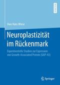 Wiese |  Neuroplastizität im Rückenmark | Buch |  Sack Fachmedien
