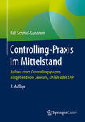 Schmid-Gundram |  Controlling-Praxis im Mittelstand | eBook | Sack Fachmedien