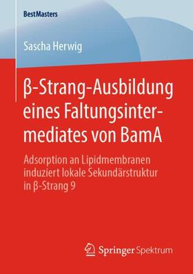 Herwig | ¿-Strang-Ausbildung eines Faltungsintermediates von BamA | Buch | 978-3-658-29028-3 | sack.de