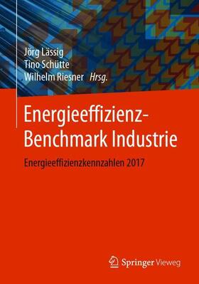 Lässig / Riesner / Schütte | Energieeffizienz-Benchmark Industrie | Buch | 978-3-658-29084-9 | sack.de