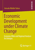 Yalew |  Economic Development under Climate Change | eBook | Sack Fachmedien