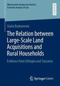Barbanente |  The Relation between Large-Scale Land Acquisitions and Rural Households | Buch |  Sack Fachmedien