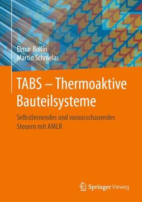 Bollin / Schmelas | TABS - Thermoaktive Bauteilsysteme | Buch | 978-3-658-31162-9 | sack.de